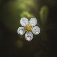 Lesen LED Bilder Bewertungen